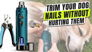 How to Trim Dog Nails without Hurting Them
