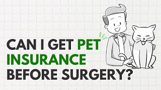 Can I Get Pet Insurance Before Surgery?