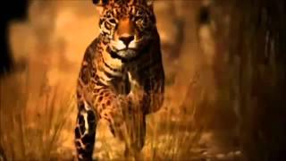 Loreena McKennitt --The Mummers Dance