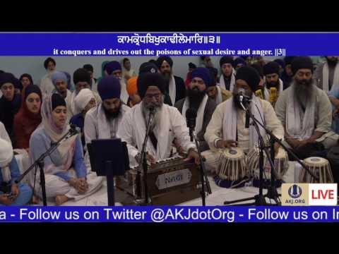 039 Toronto July 2017 Tuesday PM Bhai Bhupinder Singh Jee Amritsar