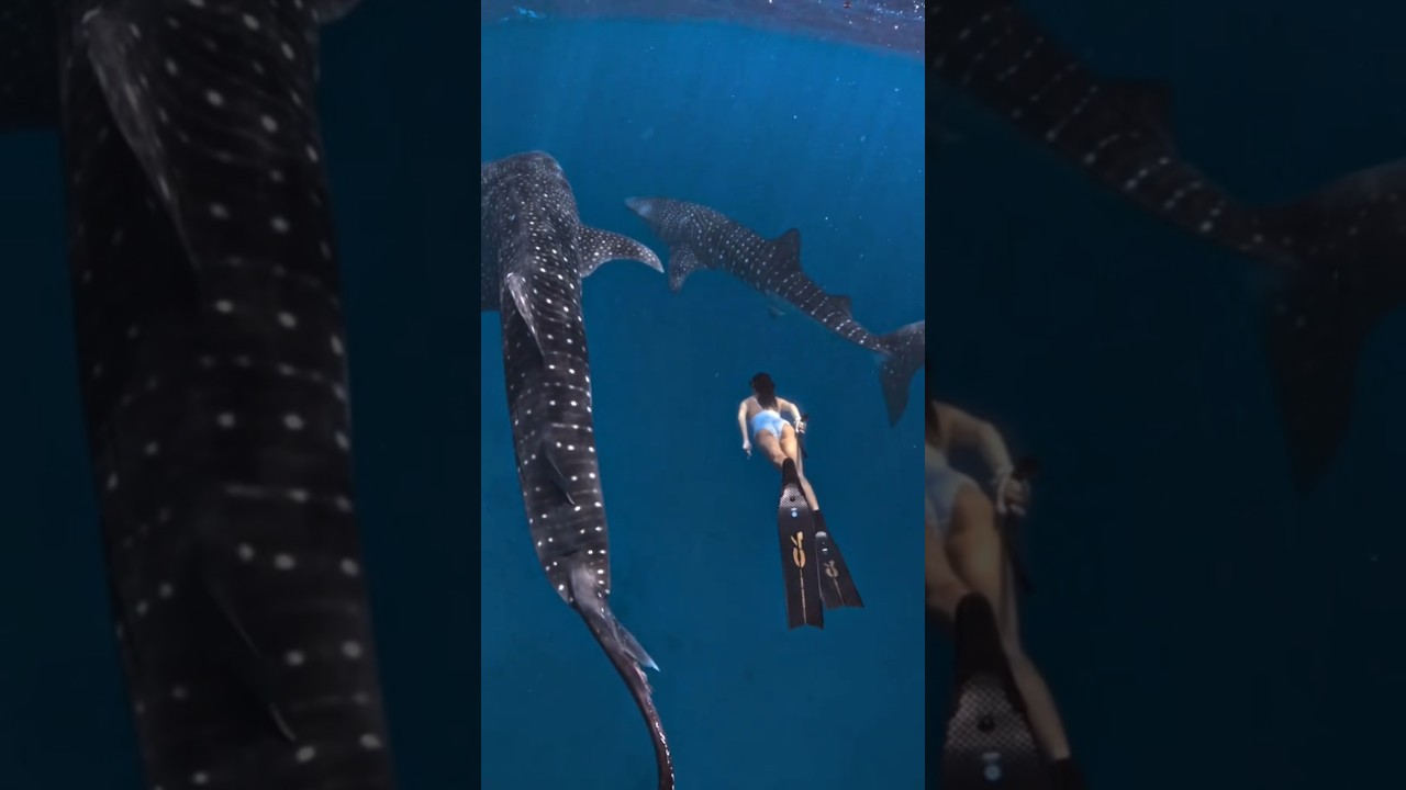 YouTube Short thumbnail