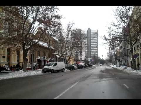 Szolnok 1Y járat; Cukorgyári lakótelep - Tallinn városrész