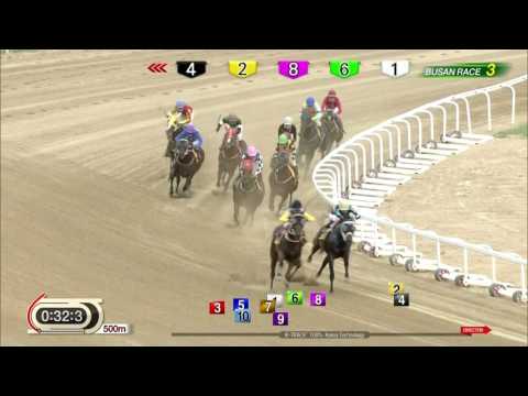 170811 Busan R3 1000m