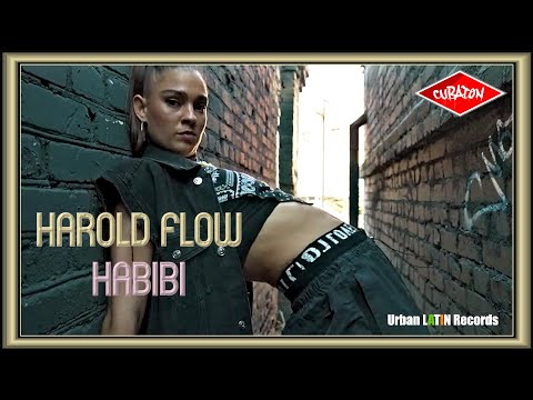 HAROLD FLOW - HABIBI