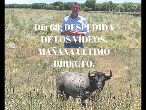 ¡Día 68! DESPEDIDA Fin del confinamiento.PRESENTACIÓN ULTIMO DIRECTO Jose Ortega Cano.