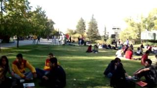 Ceyhun Özsoylu - Sen Özgürsün