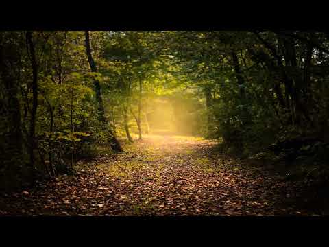 Paul Mckenna Mude sua vida em 7 Dias Sem comerciais