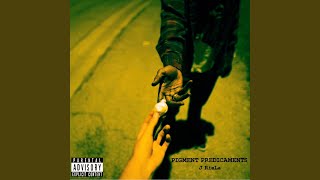 Pigment Predicaments Music Video