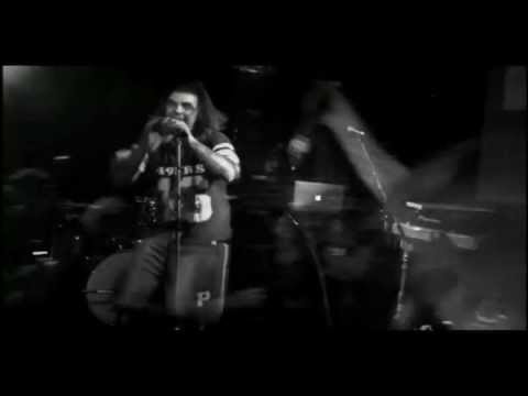 The JoniFish Project - Presenze