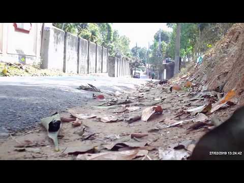 Borshijura Moulvibazar!