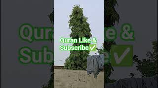 Download lagu Surah Nissa Urdu Translation #translation #bayan #alquran #foryoupageph #warraich000 #surahnissa mp3 Download lagu Surah Nissa Urdu Translation #translation #bayan #alquran #foryoupageph #warraich000 #surahnissa mp3