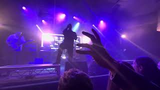 Sunk LOTO - chameleon live Max Watts Nov 24 2022