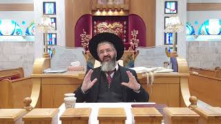 סלייסר, פומפיה דיני טוחן בשבת - מורשת אבות רעננה