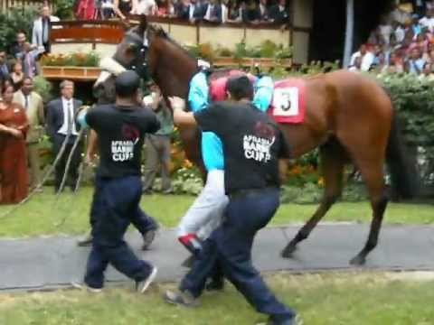 Robbie Burke and IL Saggiatore in the paddock for the Afrasia Barbe Cup 2012