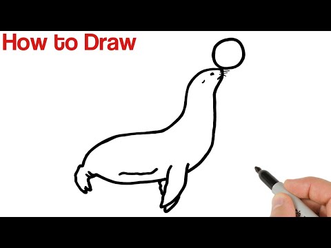 How to Draw Sea Lion / Easy Animals Drawings