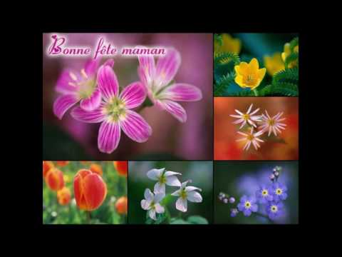 i love mom by anoush