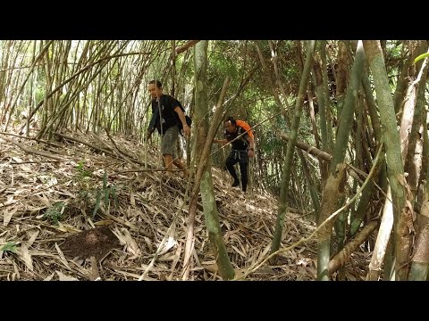 SE02EP21 P2 - Mga BIYAYANG LAMANG GUBAT NG BUNDOK NG PUNSONG BATO | The Seven Falls Adventure
