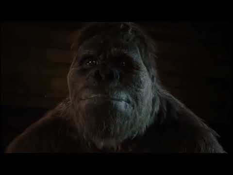 Natural History Museum Alive [2014] - Gigantopithecus Screen Time
