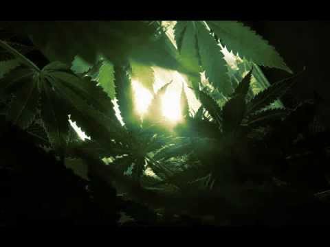 NrTTironci ft Uli - Tym Nona