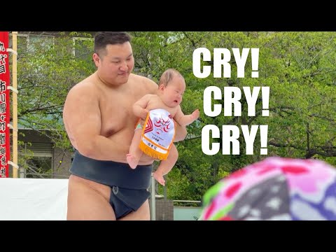 400年の伝統！泣き相撲 (400 Year Old Japanese Spring Ritual | Nakizumo )