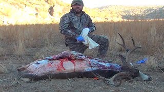 HOW TO USE THE GUTLESS FIELD DRESSING METHOD