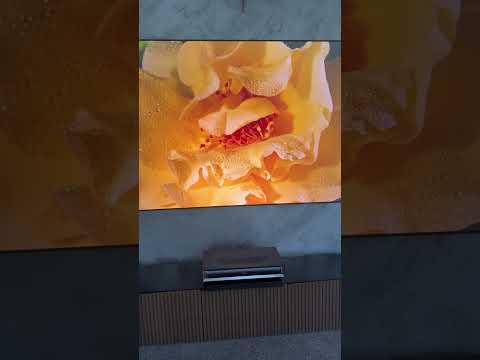 13 Fakten über den Hisense PX3 Laser TV - Fakt 13: Der Preis