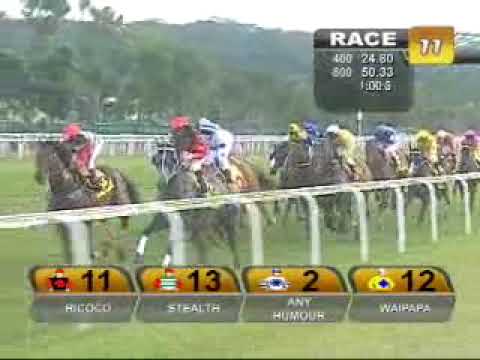 SINGAPORE GOLD CUP 08/11/09 - EL DORADO