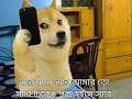 থানিয়া CUDS স্যার | Dogs Version | Funny Video.  exe