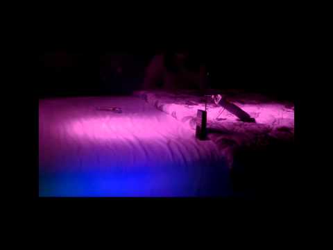 Lakeside Inn Video 1