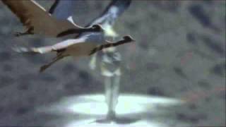 MC ERIK &amp; BARBARA - HIDEAWAY