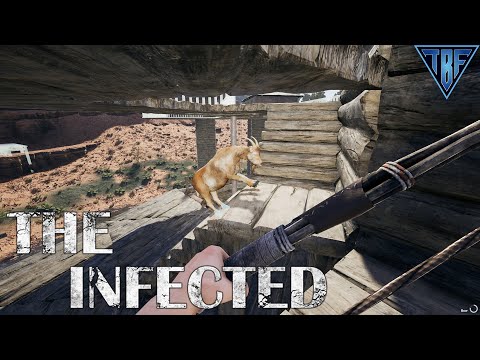 We had a visitor! The Infected E37