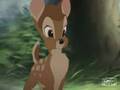 Bambi Let It Out With A Big Grr
