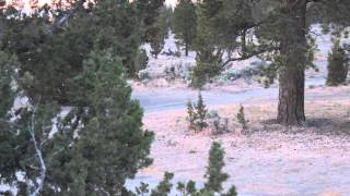 Christmas Valley 2014