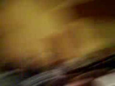 KODAMA 2009 - ANIMEKÊ