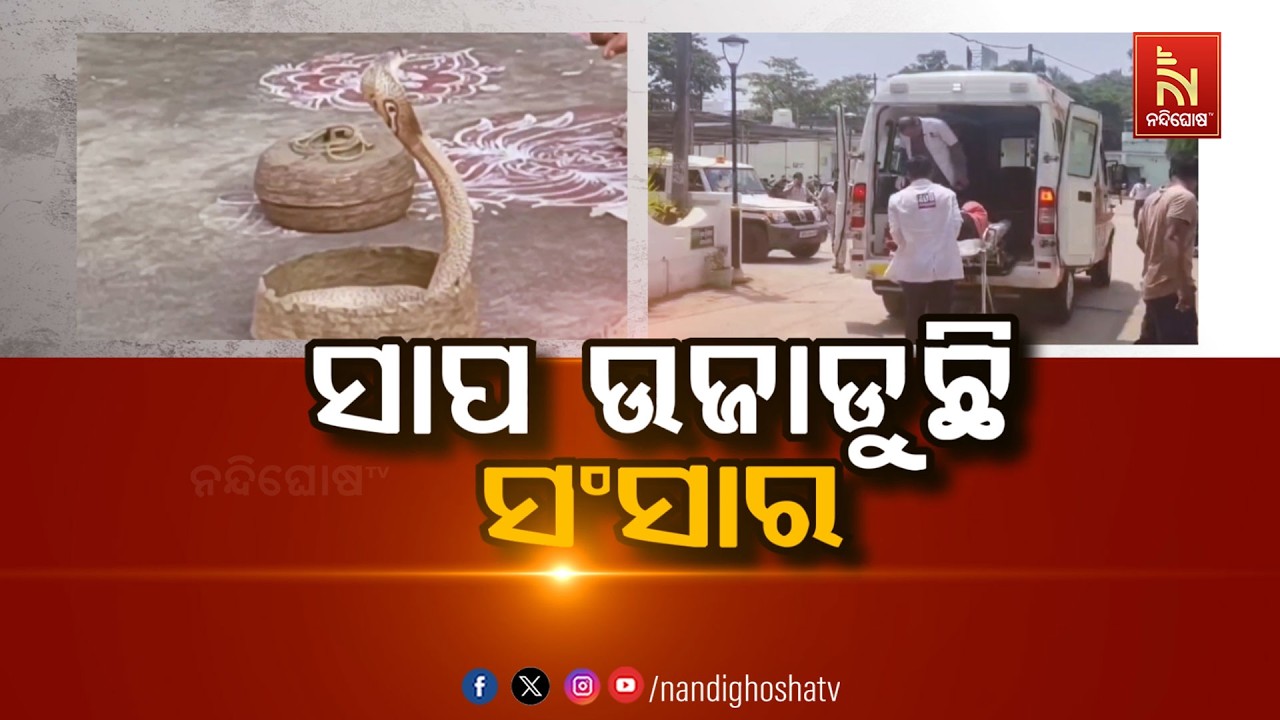 🔴Live | ସାପ ଉଜାଡ଼ୁଛି ସଂସାର