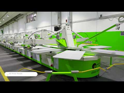 Oval Evolution P44 XL+