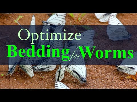 Bedding for Worms: Coir, Leaves or Peat Moss?