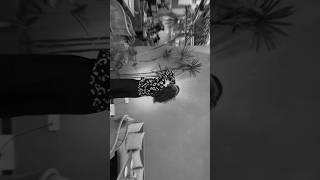 Download lagu Monochrome moods 🖤☕️ #KadhalKonjam #YouTubeShorts #2K #fyp #Trending #BlackAndWhite #Vibes #Viral mp3 Download lagu Monochrome moods 🖤☕️ #KadhalKonjam #YouTubeShorts #2K #fyp #Trending #BlackAndWhite #Vibes #Viral mp3