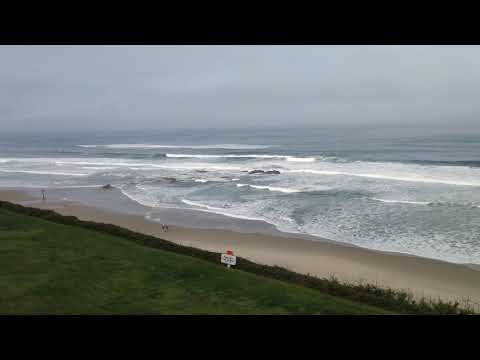 Tom Ryan Ocean view room at Coho Oceanfront Lodge