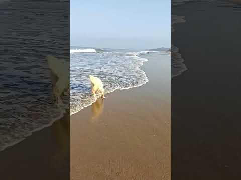 jubi first time at beach