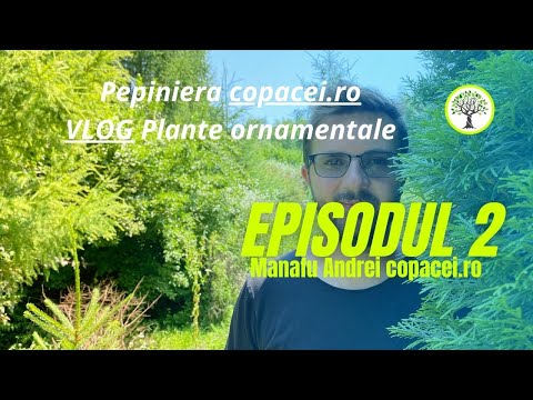 , title : 'Pepiniera copacei.ro - VLOG Plante ornamentale ep2'