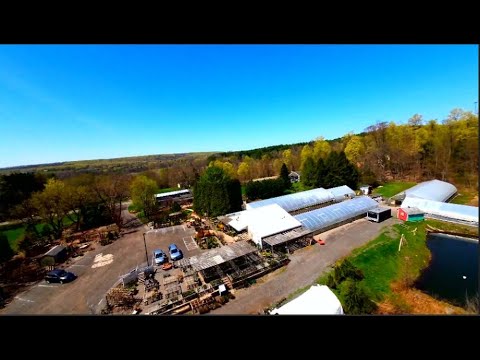 Westbrook Shortell video