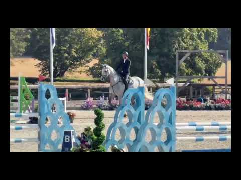 Aegon CZ training show Addington