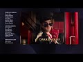Toy Story 4 End Credits ABC Version