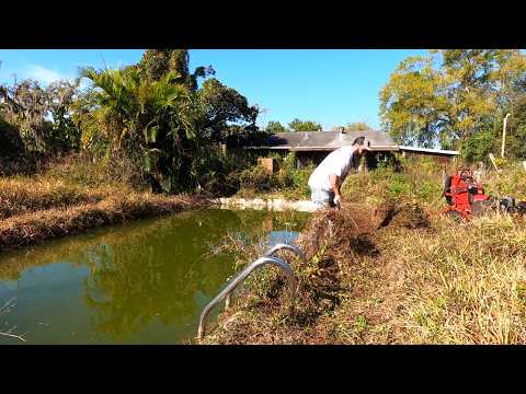 The CITY FINED them $16000 for TALL GRASS and NEVER ...