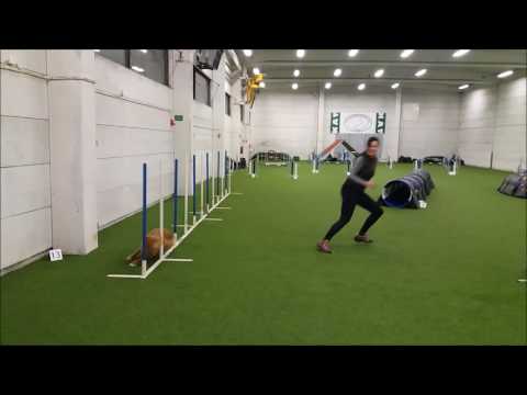 Maiju ja Nelli KAT Valkut 21.12.2016