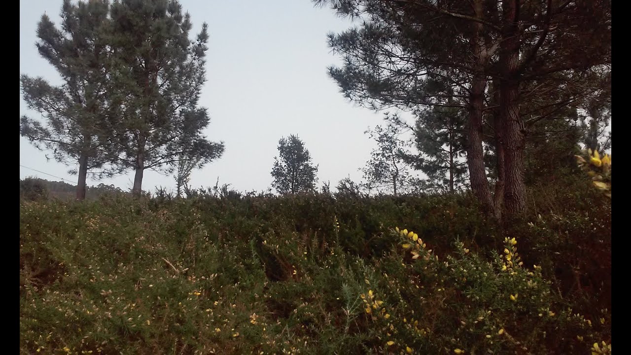 Vídeo do imóvel