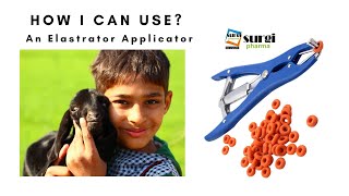 How to use elastrator pliers and rings? || Elastrator Rubber Ring Applicator