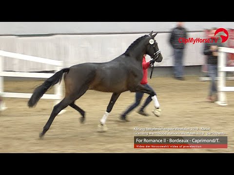 Hengst v.  For Romance II - Bordeaux - Caprimond/T.