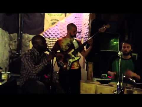 Evening Star by The Neon Tetras
